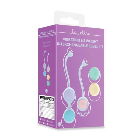 Vibrating and 5 Weight Interchangeable Kegel Kit with Remote Control - Purple