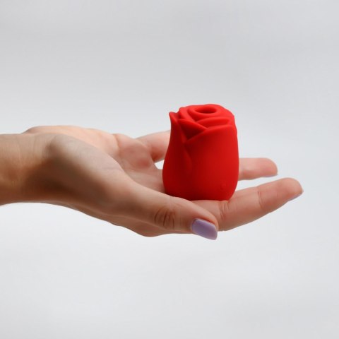 wibrator stymulator 7 trybów stymulacji wodoodporny niegrzeczny języczek