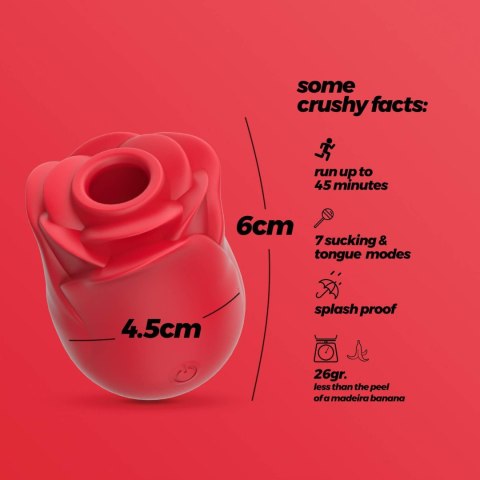 wibrator stymulator 7 trybów stymulacji wodoodporny niegrzeczny języczek