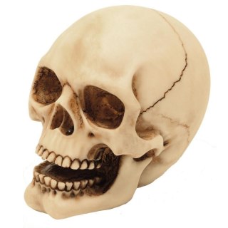 Figurka Czaszka 10cm Dekoracja- MC-30684