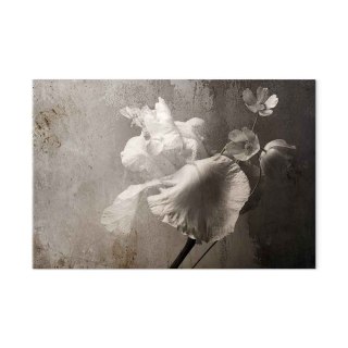 Obraz - Wenecki blask (1-częściowy) szeroki