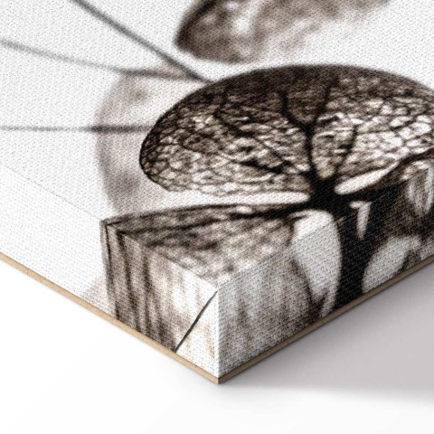 Obraz - Przezroczysta koniczyna (1-częściowy) pionowy