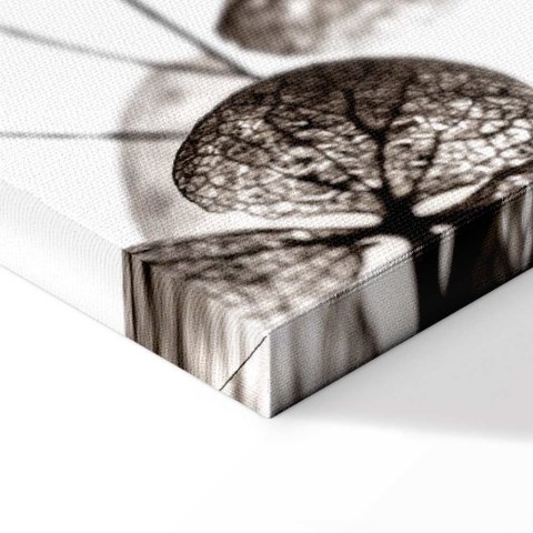 Obraz - Przezroczysta koniczyna (1-częściowy) pionowy