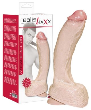 Dildo penis Realistixxx Dong Real STALLION 27 cm