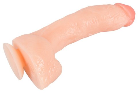 Dildo penis Realistixxx Dong Real STALLION 27 cm
