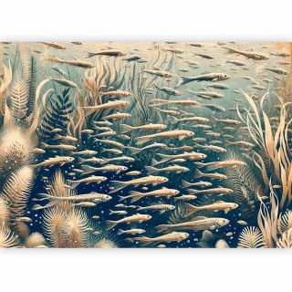 Fototapeta - Oceaniczna przyroda