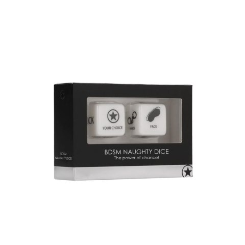 BDSM Naughty Dice