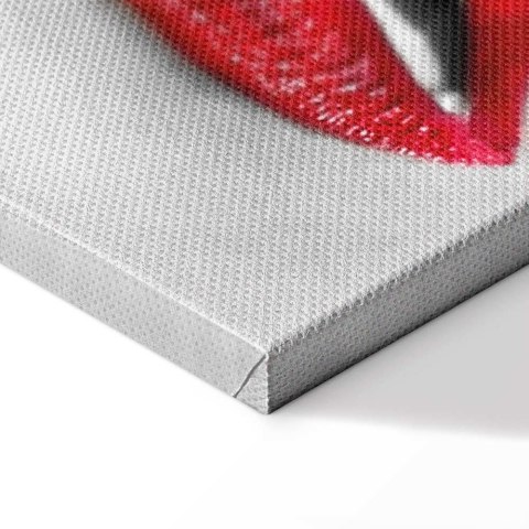Obraz - Hot lips 120x80 Standard