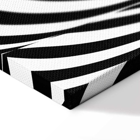 Obraz - Kobieta zebra (1-częściowy) pionowy 60x90 Standard