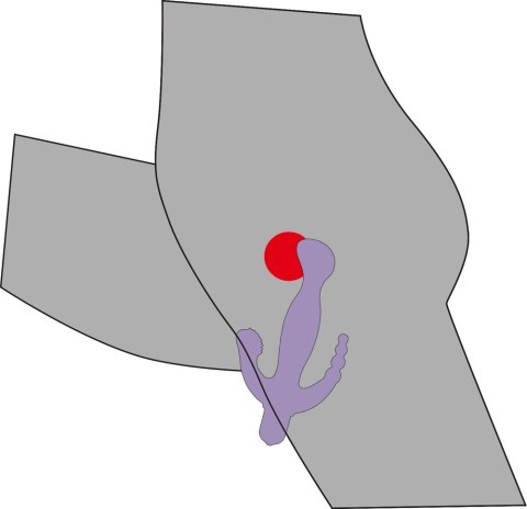 3 Pointer Wibrator G-Spot, analny i łechtaczki