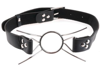 FF Extreme Knebel pierścień Spider Gag