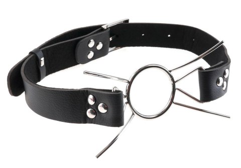FF Extreme Knebel pierścień Spider Gag