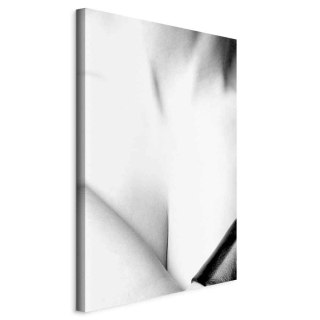 Obraz - Wdzięk (1-częściowy) pionowy 20x30 Na płótnie włoskim