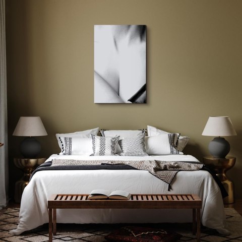Obraz - Wdzięk (1-częściowy) pionowy 60x90 Akustyczny
