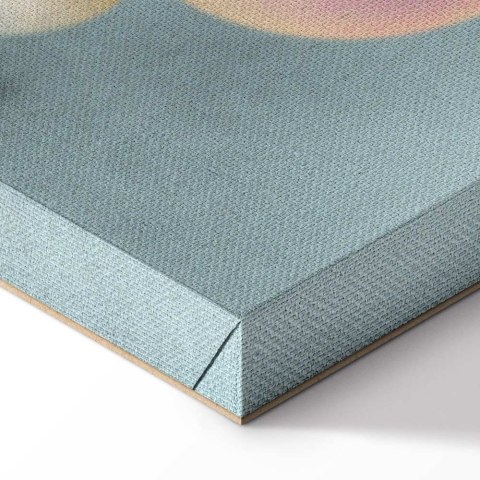 Obraz - Różowa smuga (1-częściowy) pionowy 20x30 Akustyczny