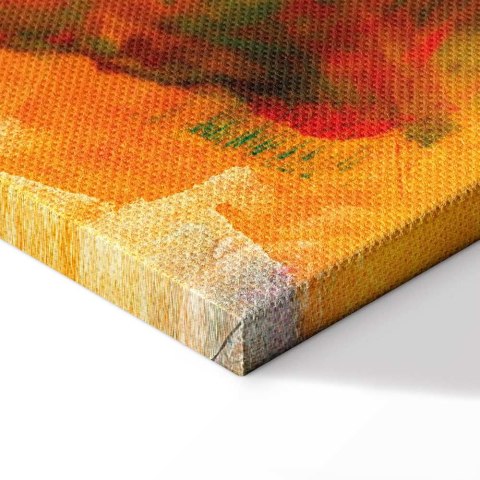 Obraz - Eksplozja dzikich barw (1-częściowy) szeroki 30x20 Standard