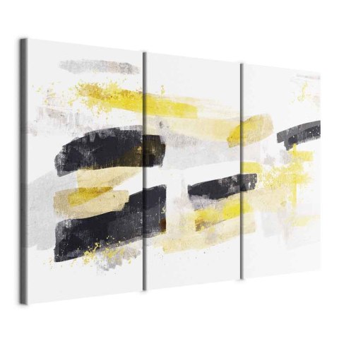 Obraz - Nowoczesny sznyt (3-częściowy) 60x40 Standard