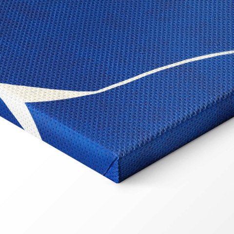 Obraz - Niebieska kobiecość 90x60 Standard