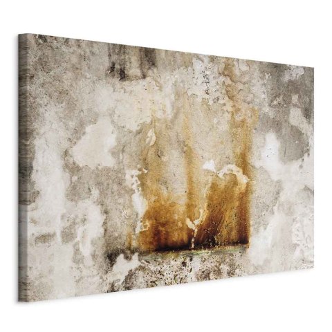 Obraz - Płomień nadziei (1-częściowy) pionowy 90x60 Standard