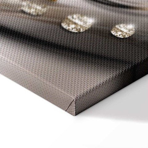 Obraz - Storczyk z diamentami 100x50 Standard