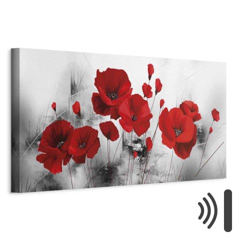 Obraz - Szary ogród 135x45 Akustyczny