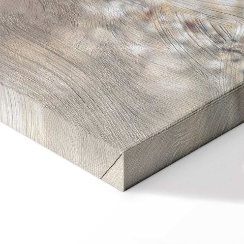 Obraz - Zimowa księżniczka 100x50 Premium Print