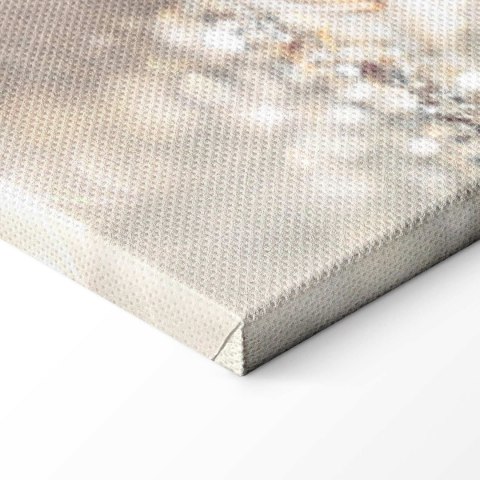 Obraz - Zimowa księżniczka 200x100 Standard