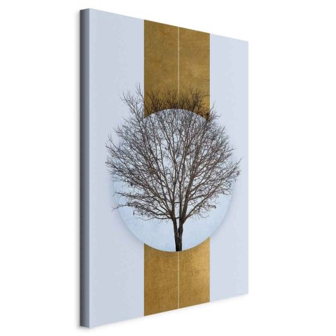 Obraz - Koło natury (1-częściowy) - gałęzie drzewa w kulistej kompozycji 40x60 Standard