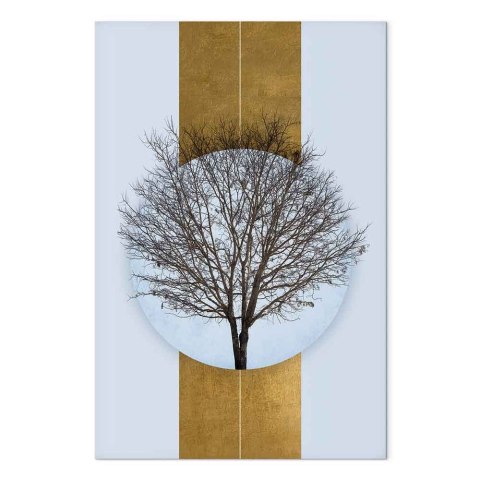 Obraz - Koło natury (1-częściowy) - gałęzie drzewa w kulistej kompozycji 40x60 Standard