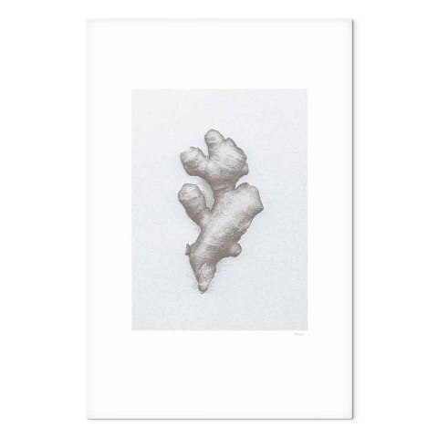 Obraz - Imbir (1-częściowy) pionowy 20x30 Premium Print