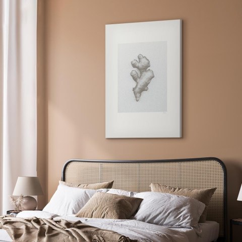 Obraz - Imbir (1-częściowy) pionowy 20x30 Premium Print