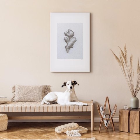 Obraz - Imbir (1-częściowy) pionowy 60x90 Standard