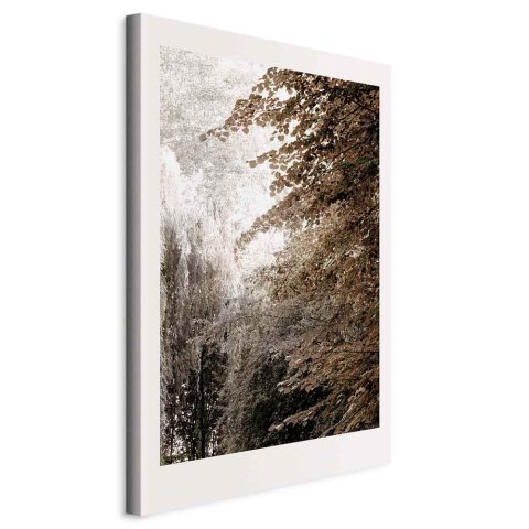 Obraz - Park w sepii (1-częściowy) pionowy 60x90 Standard
