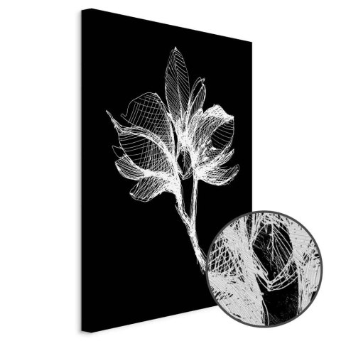 Obraz - Nocny kwiat (1-częściowy) pionowy 20x30 Premium Print