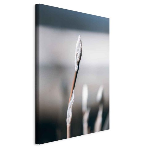 Obraz - Botaniczny minimalizm (1-częściowy) pionowy 40x60 Na płótnie włoskim