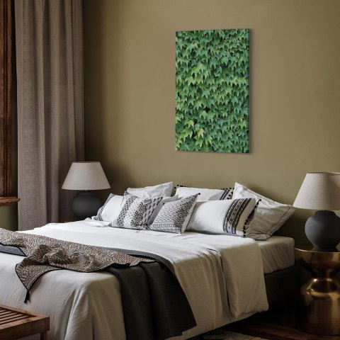 Obraz - Gęsty bluszcz (1-częściowy) pionowy 20x30 Premium Print