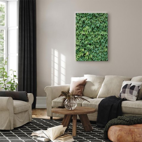 Obraz - Gęsty bluszcz (1-częściowy) pionowy 20x30 Standard