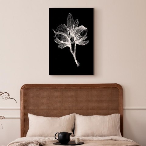 Obraz - Nocny kwiat (1-częściowy) pionowy 20x30 Akustyczny