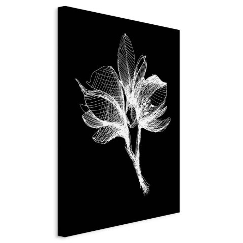 Obraz - Nocny kwiat (1-częściowy) pionowy 40x60 Standard