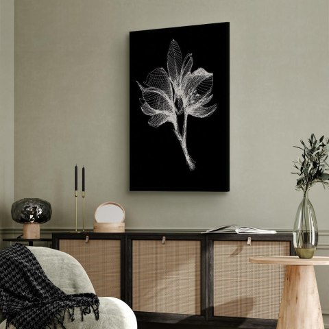 Obraz - Nocny kwiat (1-częściowy) pionowy 40x60 Standard