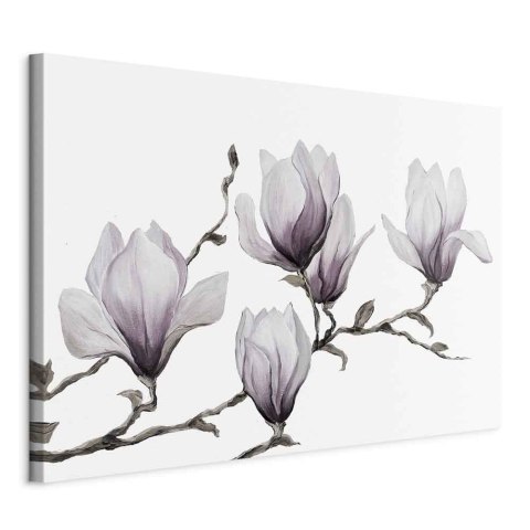 Obraz - Malowane magnolie (1-częściowy) szeroki 30x20 Na płótnie włoskim