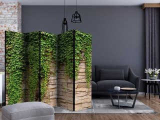 Parawan - Ściana bluszczu II 225x172 Jednostronny