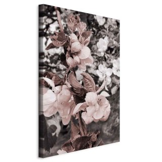 Obraz - Balans w naturze (1-częściowy) pionowy 20x30 Standard