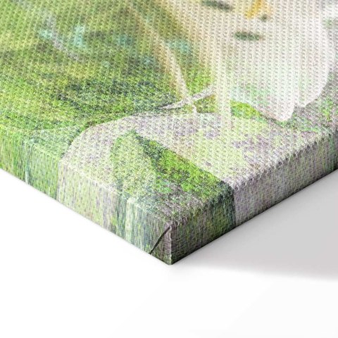 Obraz - Zielone tchnienie (1-częściowy) pionowy 60x90 Standard