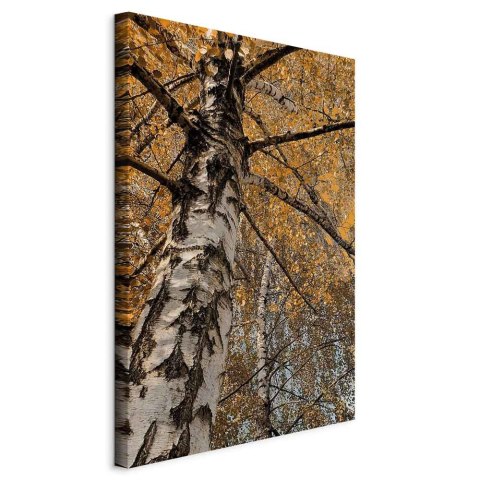 Obraz - Jesienna kolorystyka (1-częściowy) pionowy 20x30 Standard