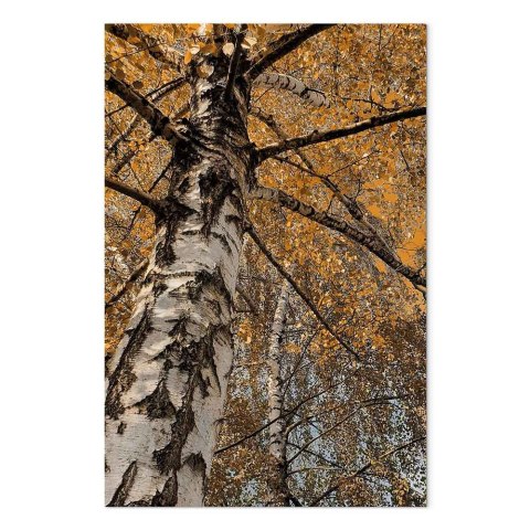 Obraz - Jesienna kolorystyka (1-częściowy) pionowy 20x30 Standard