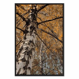 Obraz - Jesienna kolorystyka (1-częściowy) pionowy 40x60 W ramie drewnianej czarnej