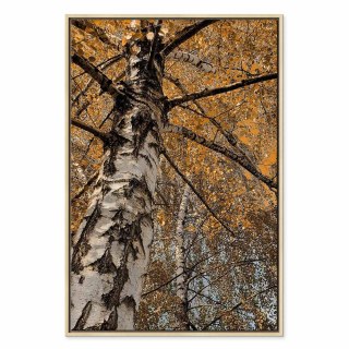 Obraz - Jesienna kolorystyka (1-częściowy) pionowy 60x90 W ramie drewnianej naturalnej