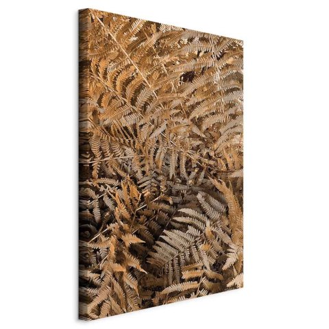 Obraz - Tajemnicza paproć (1-częściowy) pionowy 60x90 Standard