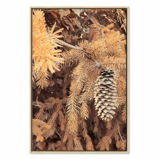 Obraz - Złota szyszka (1-częściowy) pionowy 60x90 W ramie drewnianej naturalnej